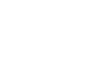 The Node