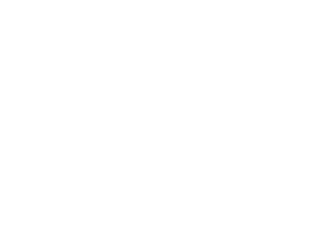 VDM